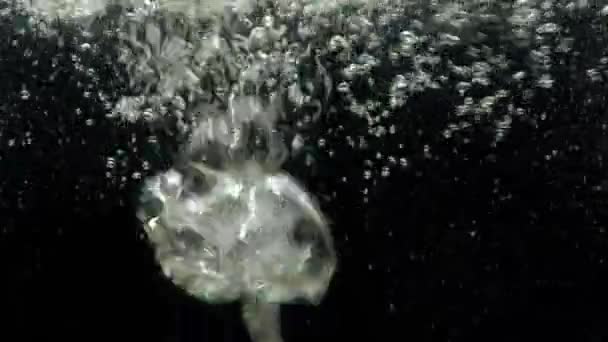 Pęcherzyki powietrza w wodzie wznoszące się na powierzchnię na odizolowanym czarnym tle - Materiał filmowy, wideo