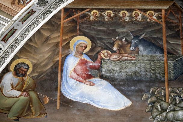 El Baptisterio de Padua. Frescos de techo del siglo XIV por Giusto de Menabuoi. La Natividad de Cristo. Padua. Italia.  - Foto, Imagen