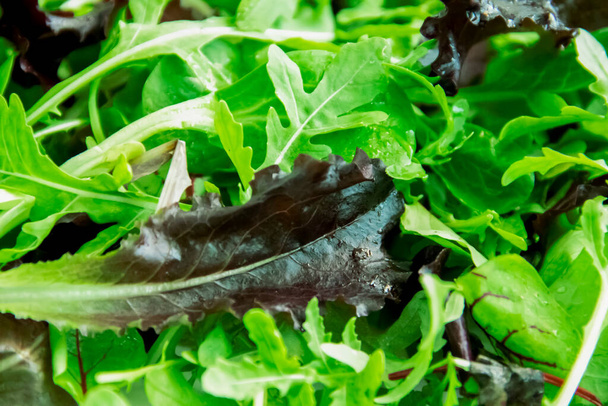 зелене листя салату крупним планом фон
 - Фото, зображення