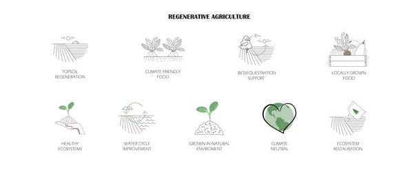 Sürdürülebilir yenilenebilir tarım ikonları. İklim nötr gıda çiftçiliği kavramı, doğal ekosistemin desteği. Toprak yenilenmesi, biyolojik çeşitlilik, su döngüsü, yenilenebilir bahçıvanlık bilgileri. - Vektör, Görsel