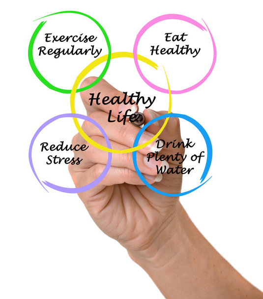 Diagrama de vida saudável
 - Foto, Imagem