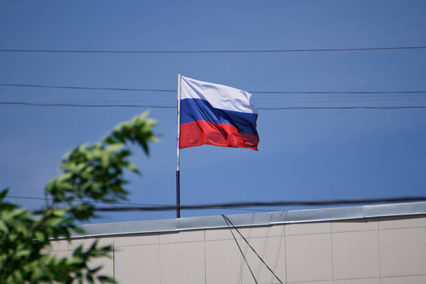 A bandeira nacional russa por trás da folhagem verde no telhado de um edifício administrativo, contra um fundo de céu azul e fios. Reportagem - Foto, Imagem