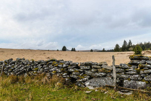 Un viejo muro de piedra en el Parque Nacional Dartmoor en Devon, Reino Unido - Foto, Imagen