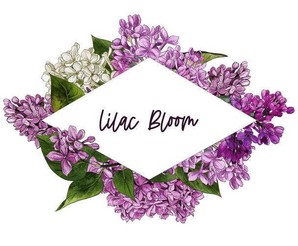 Watercolor lilac flowers and leaves. - Vektör, Görsel