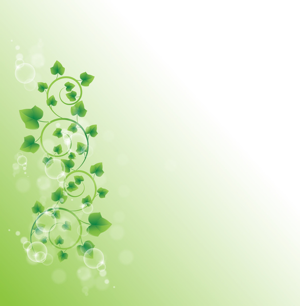 κλαδί με φρέσκα πράσινα φύλλα - Διάνυσμα, εικόνα
