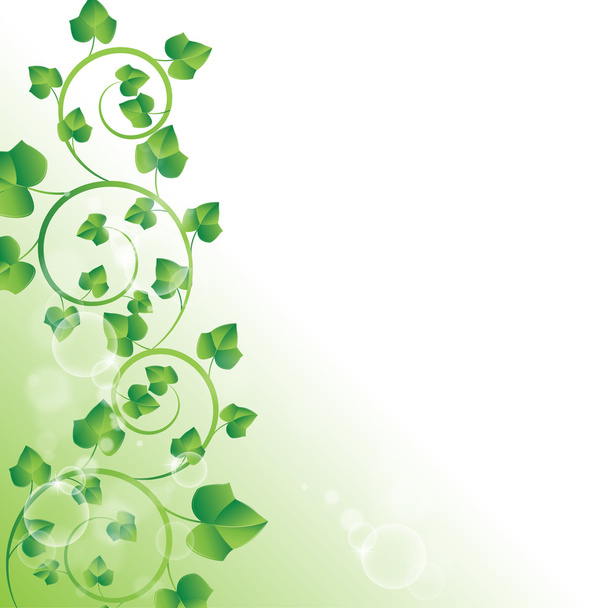 Гілка з зеленим листям
 - Вектор, зображення