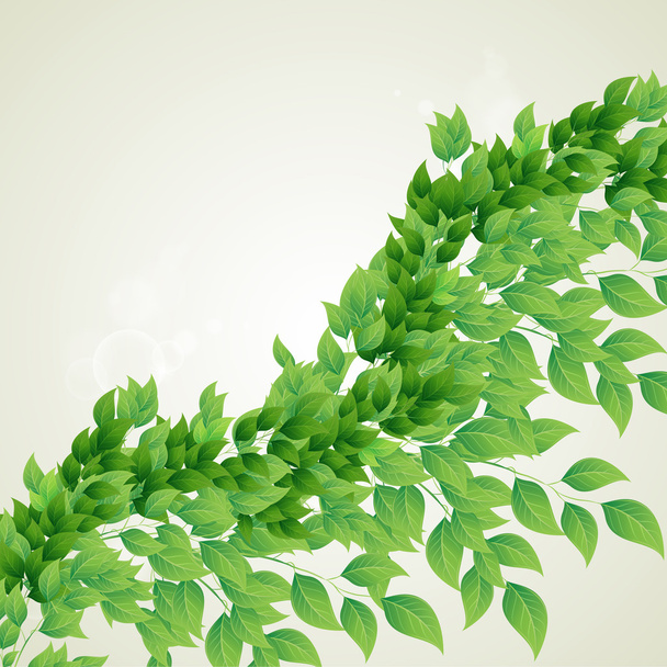Branch with green leaves - Vector, Image