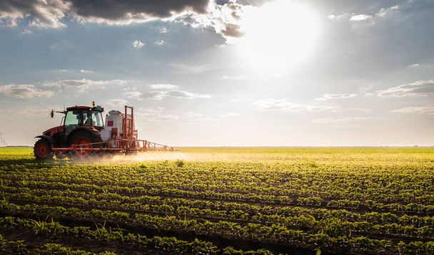 Tractor rociando pesticidas en campo de soja con pulverizador en primavera - Foto, Imagen