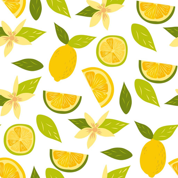 Lemon fruits pattern isolated on white. - Vector, Image