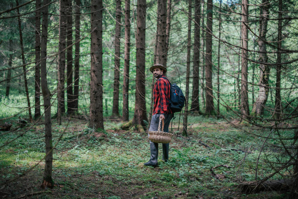 Ένας νεαρός αρσενικός συλλέκτης μανιταριών με ένα μεγάλο καλάθι ψάχνει, συλλέγει μανιτάρια στο δάσος. Συλλογή μανιταριών την εποχή. - Φωτογραφία, εικόνα