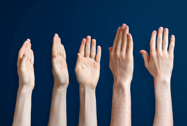 the five raised human hands isolated on the colourful background as a concept of vote and agree - Photo, Image