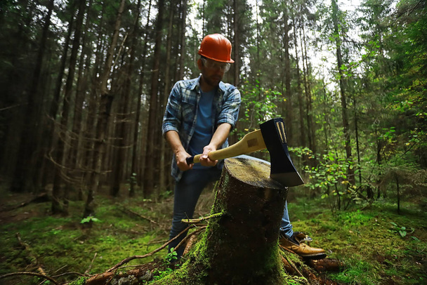 森の中で木を切る斧を持つ男性労働者. - 写真・画像