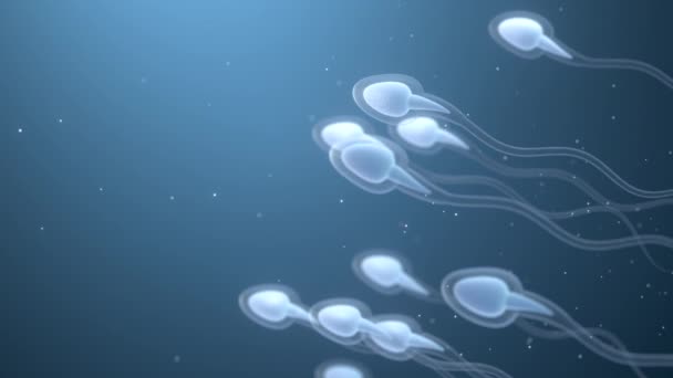 Menselijke spermacellen, 3d-rendering. - Video