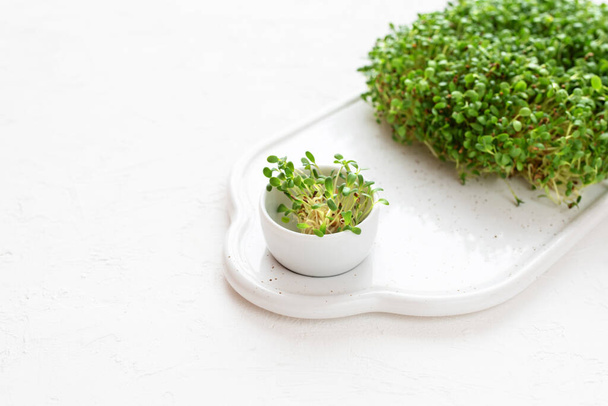 Raw microgreen alfalfa sprouts on a cutting board on a white background. Healthy eating concept, copy space. - Valokuva, kuva