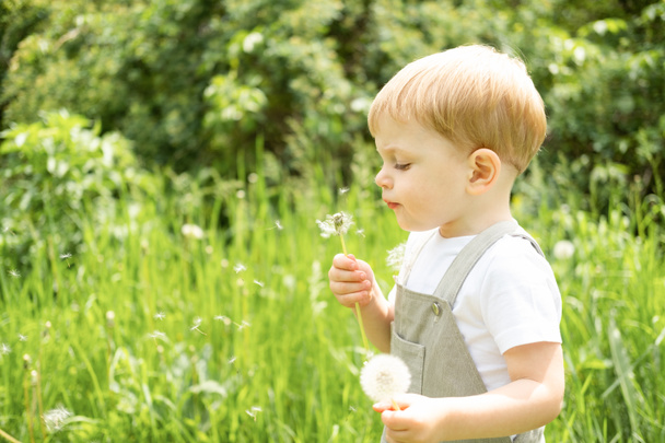 felice ragazzo bambino biondo carino che soffia fiore di dendelion nel parco verde - Foto, immagini