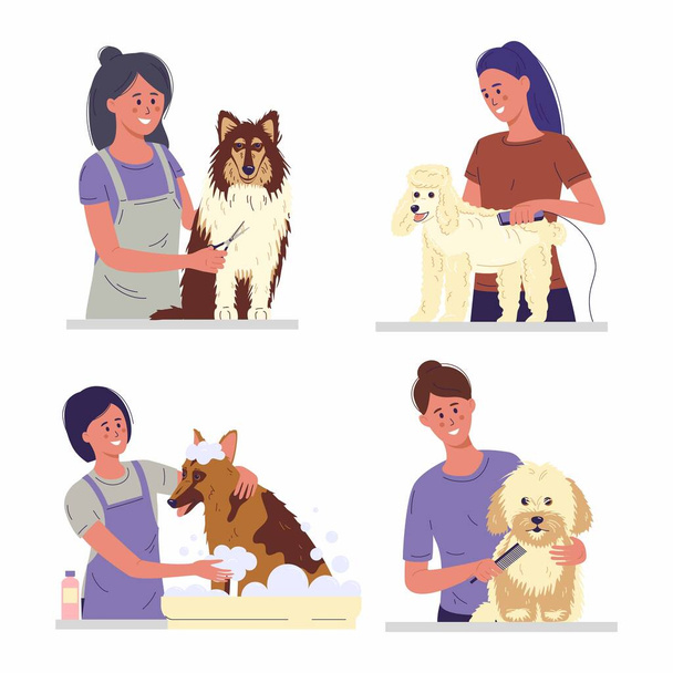 Set of professional barber grooming dog. Woman caring of pet fur - cutting and brushing fur, washing. Vector illustration in cartoon style - Vector, Image