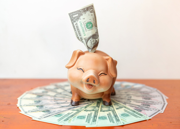 Braunes Sparschwein mit einem Dollarschein im Schlitz auf weißem Hintergrund. - Foto, Bild