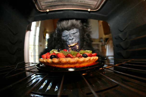 Dessert de cuisson Gorille. Un heureux gorille domestiqué fait un dessert de tarte aux fruits dans son four pour ses amis et sa famille. Les gorilles font d'excellents chefs lorsqu'on leur donne l'occasion de cuisiner. Les gorilles sont aussi bons que les humains.  - Photo, image