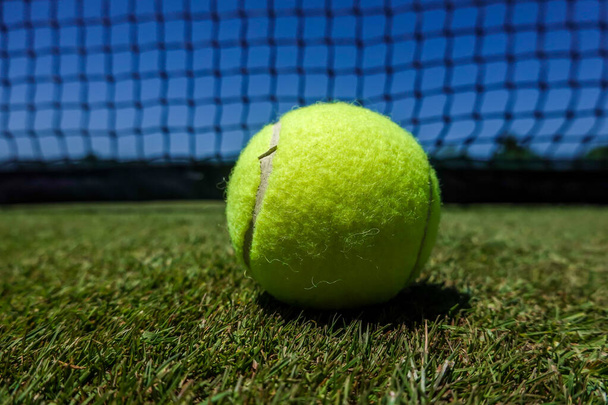 Tennis ball on grass court - Фото, зображення