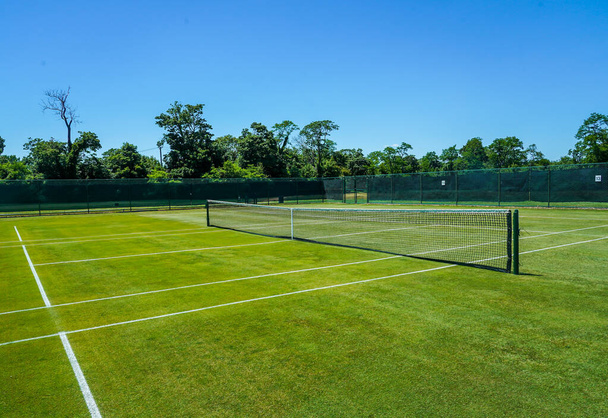 The grass tennis court - 写真・画像