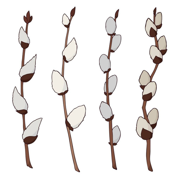 A set of willow twigs. Vector color illustration in flat style. Spring season. Hand drawn - Вектор, зображення