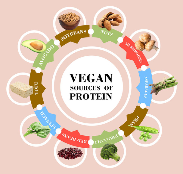 Set veganer Proteinquellen auf farbigem Hintergrund - Foto, Bild
