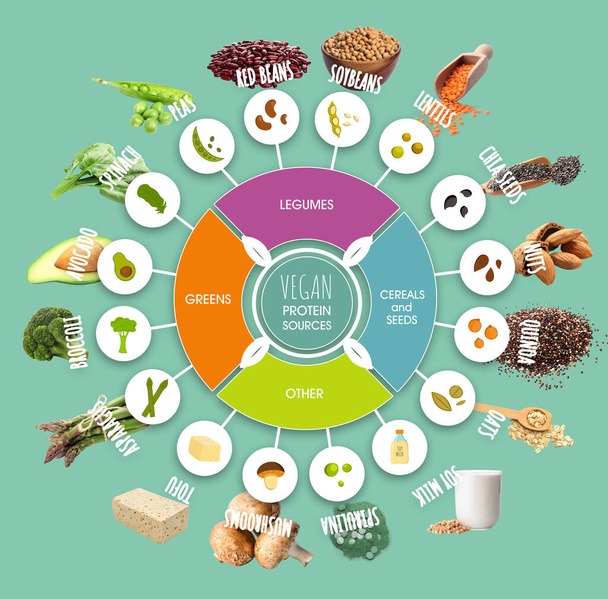 Set di fonti vegane di proteine su sfondo a colori - Foto, immagini