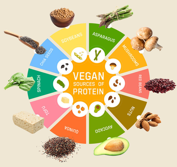 Set veganer Proteinquellen auf farbigem Hintergrund - Foto, Bild