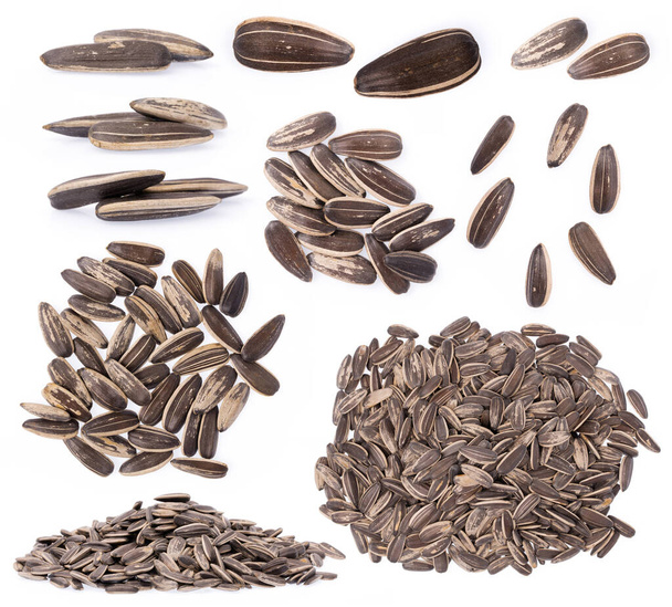 Coleção de sementes de girassol isoladas em fundo branco - Foto, Imagem