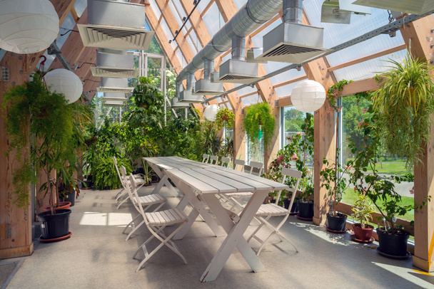 Groene planten in een paviljoen met glazen dak. Modern interieur.  - Foto, afbeelding