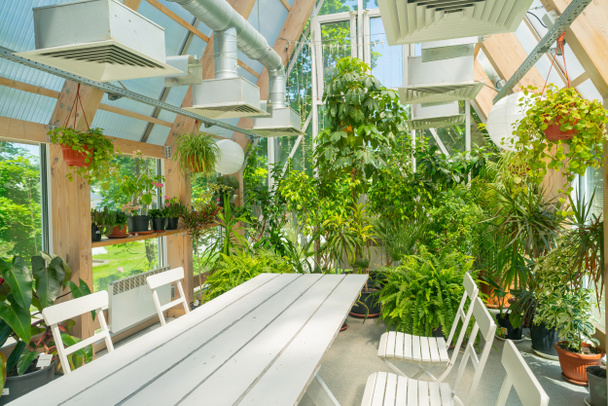Grüne Pflanzen in einem Pavillon mit Glasdach. Moderner Innenraum.  - Foto, Bild