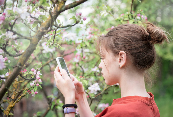 Una joven en un jardín floreciente toma fotos de árboles en flor en un teléfono inteligente - Foto, imagen