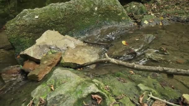 Agua corriente en la garganta de Bechirs cerca de Soroca, Moldavia - Metraje, vídeo