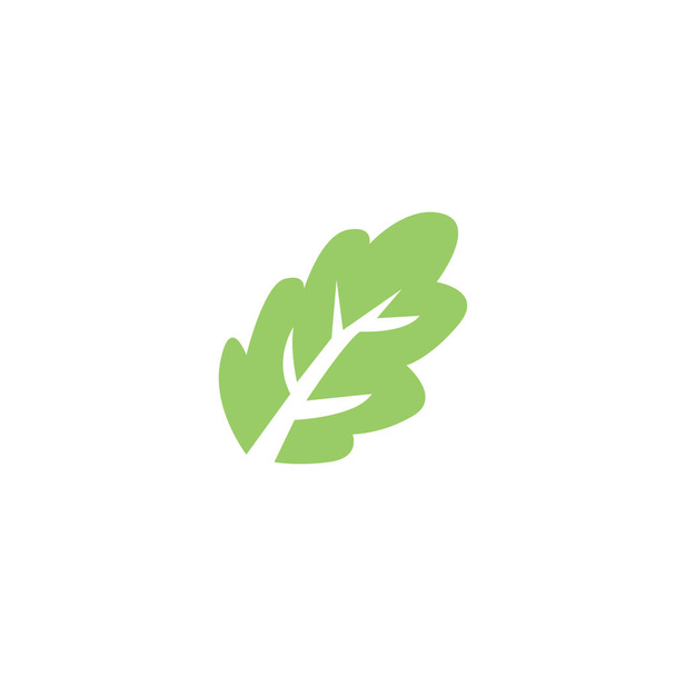  Levél ikon design zöld friss egyedi design - Vektor, kép