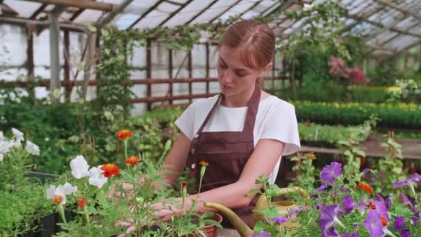 Dziewczyna w fartuchu w pracy w szklarni przeszczepy kwiaty, zwolniony film - Materiał filmowy, wideo