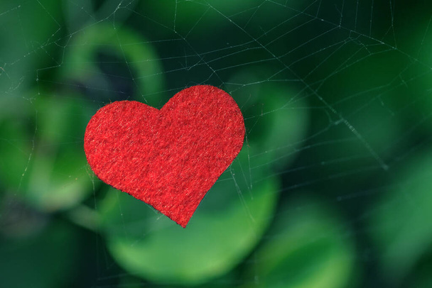 Foto de Bright Red Heart en Spiderweb en Blurred Green Leaves Background. Símbolo de Me Gusta en Cobweb en Ambiente Natural. - Foto, Imagen