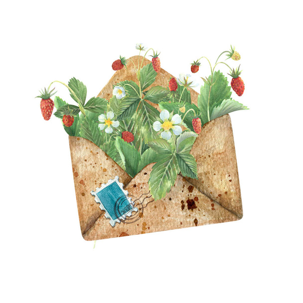 watercolor envelope with wild strawberries - Valokuva, kuva