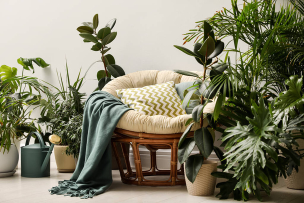 Lounge area interior with comfortable papasan chair and houseplants - Foto, afbeelding
