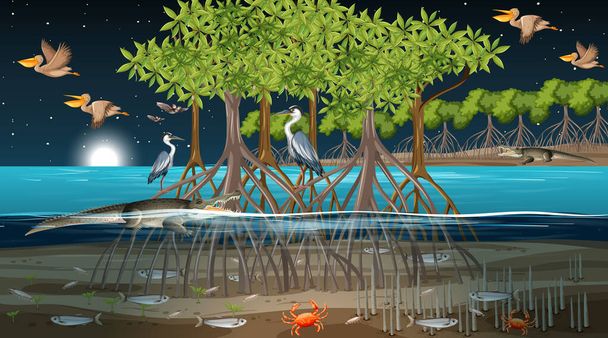 Mangrove bos landschap scène 's nachts met veel verschillende dieren illustratie - Vector, afbeelding