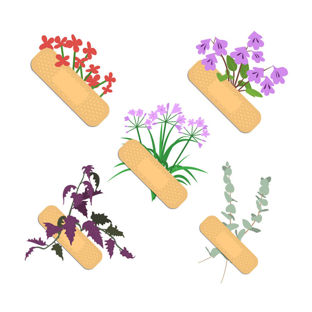 Наклеювання гіпсових виробів з різними квітами і набором листя. Колекція медичних латок ізольована на білому тлі
. - Вектор, зображення
