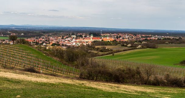 Historical Valtice town with chateau in Lednicko-valticky areal in Czech republic from Barfuweg Warte view tower above Schrattenberg village on austrian - czech borders - Photo, Image