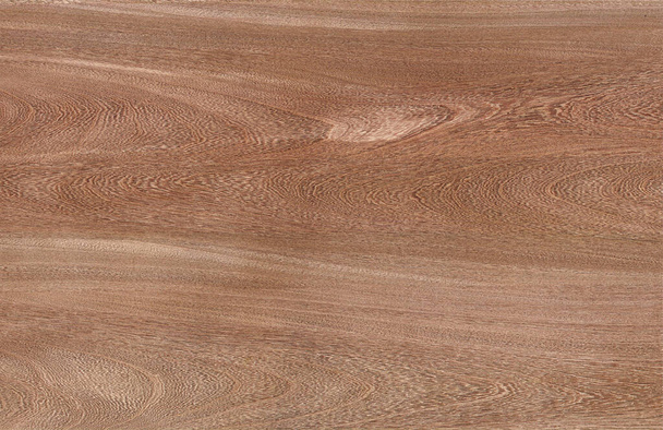 Textura de madera. Textura de madera para diseño y decoración - Foto, imagen