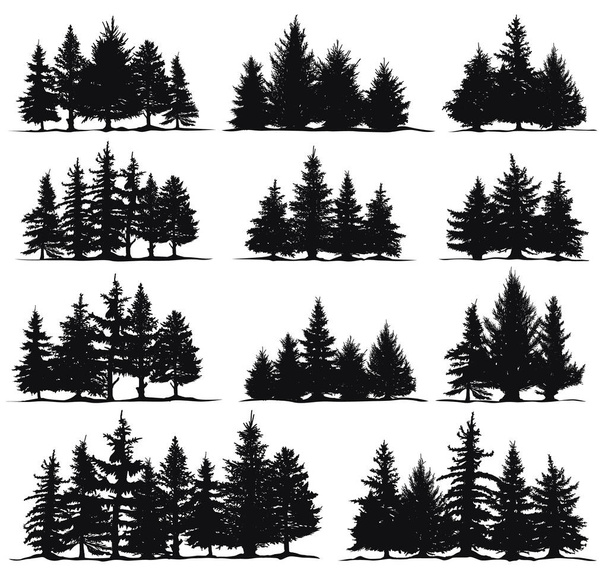 Noel ağacı siluetleri. Spruce doğa köknar ağaçları, kozalaklı orman her zaman yeşil çamlar izole edilmiş vektör çizimleri - Vektör, Görsel