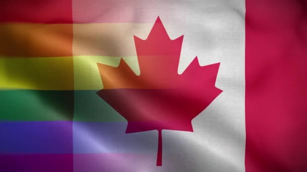 LGBT Canada Flag Loop Background 4K - Footage, Video