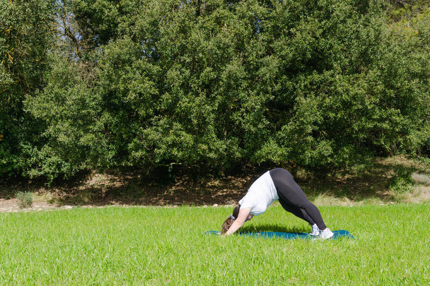 Mulher curvilínea praticando ioga em um tapete na grama - Foto, Imagem
