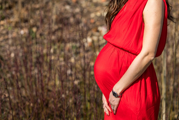 Beautiful pregnant woman feeling happy in nature while taking care of her child. Young expecting mother holding baby in pregnant belly. Maternity prenatal care and woman pregnancy concept. - Photo, Image