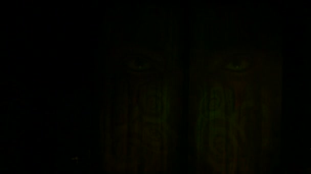 Iluminación multicolor en la puerta de la cara del diablo, Full HD
. - Metraje, vídeo