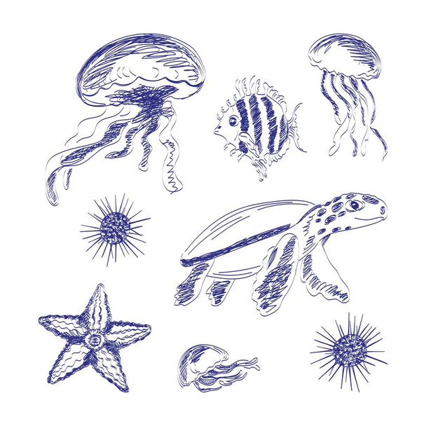 Onderwaterdieren collectie vector illustratie in doodle stijl. Zeeschildpad, kwal, zeester, zee-egel en kleine vis. - Vector, afbeelding