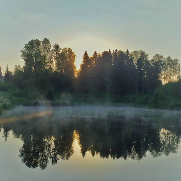 池の上で夜明け。早朝、太陽が昇る。水から霧が立ち上がる.  - 写真・画像