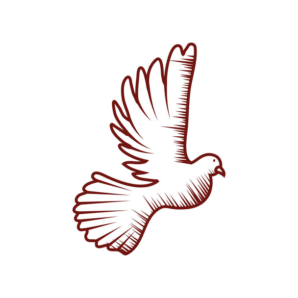 holubice létající - Vektor, obrázek
